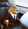 Nickbeardony