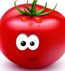 PomidorinaVL