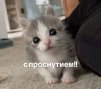 Annemi