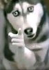 Messmer
