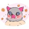 shizuco