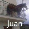 BJ1337