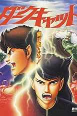 Постер к аниме Тёмный кот