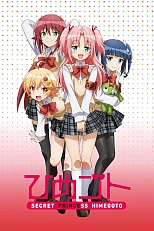 Постер к аниме Тайна принцессы