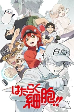 Постер к аниме Клетки за работой! 2 сезон