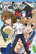 Постер к аниме Кошачьи прихоти!