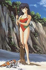 Постер к аниме Доходный дом Иккоку: Кораблекрушение у необитаемого острова