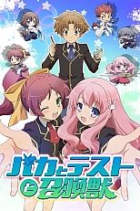 Постер к аниме Дурни, тесты, аватары