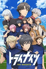 Постер к аниме Рыцари усердия