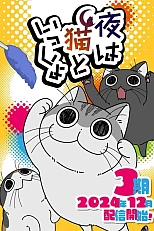 Постер к аниме Вечера с кошкой 3 сезон