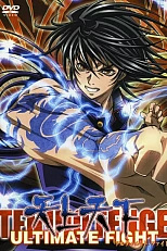 Постер к аниме Небо и земля: Бои без правил