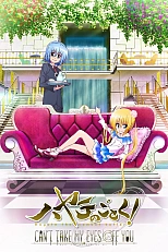 Постер к аниме Хаятэ, боевой дворецкий 3 сезон