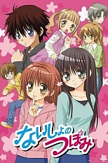 Постер к аниме Секреты Цубоми