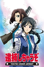 Постер к аниме Вы арестованы!