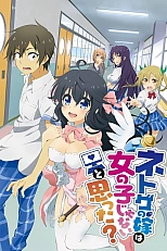 Постер к аниме А ты думал, что твоя жена в онлайн-игре на самом деле не девушка?