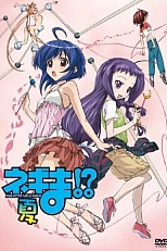 Постер к аниме Нэгима?! Летний спецвыпуск?!