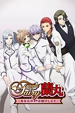 Постер к аниме Феи Ранмару