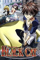 Постер к аниме Чёрный кот