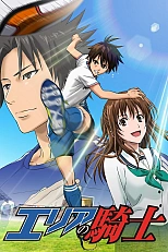 Постер к аниме Паладин на поле