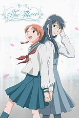 Постер к аниме Голубые цветы