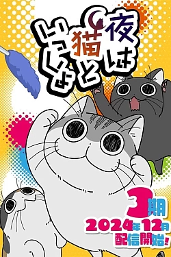 Постер к аниме Вечера с кошкой 3